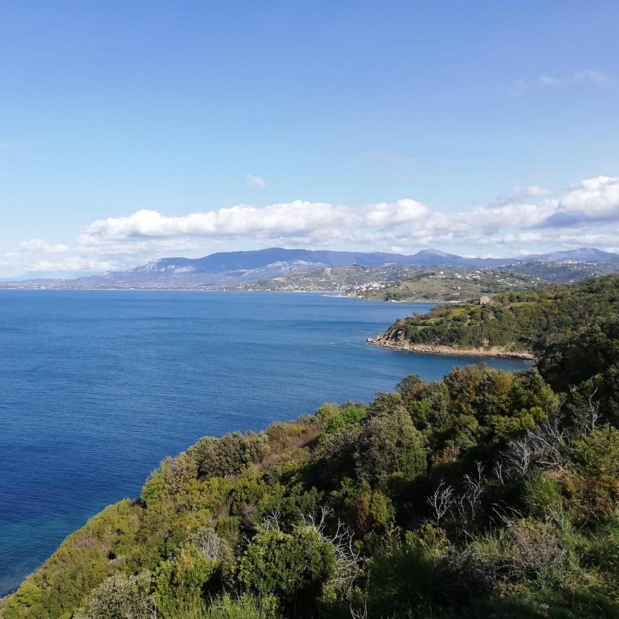 Panoramic Apartments In Villa In Center "The Beach And The Cliff" 1 Агрополи Екстериор снимка